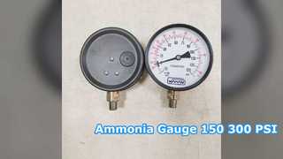 100mm Amonyak Basınç Göstergesi 150 300 PSI