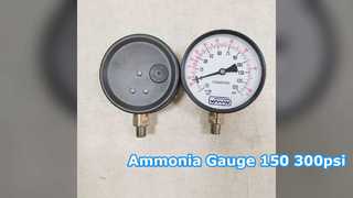 Amonyak Basınç Göstergesi 100mm 150 300psi NPT