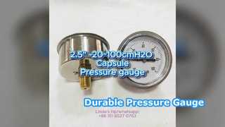 2,5" 60mm -20~100cmH2O Paslanmaz kasa+pirinç bağlantı