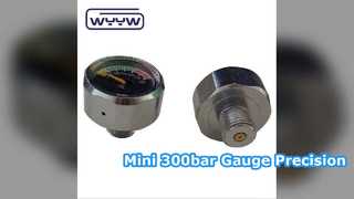 PCP Pnömatik için Mini 25mm Basınç Göstergesi