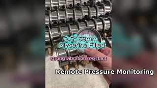 2,5" 63mm paslanmaz kasa, Gliserin dolgulu